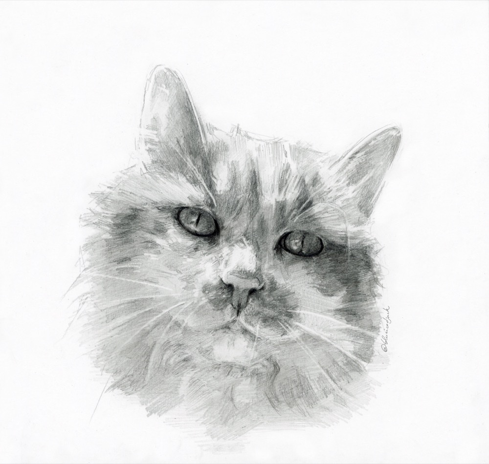 Angora · Graphite