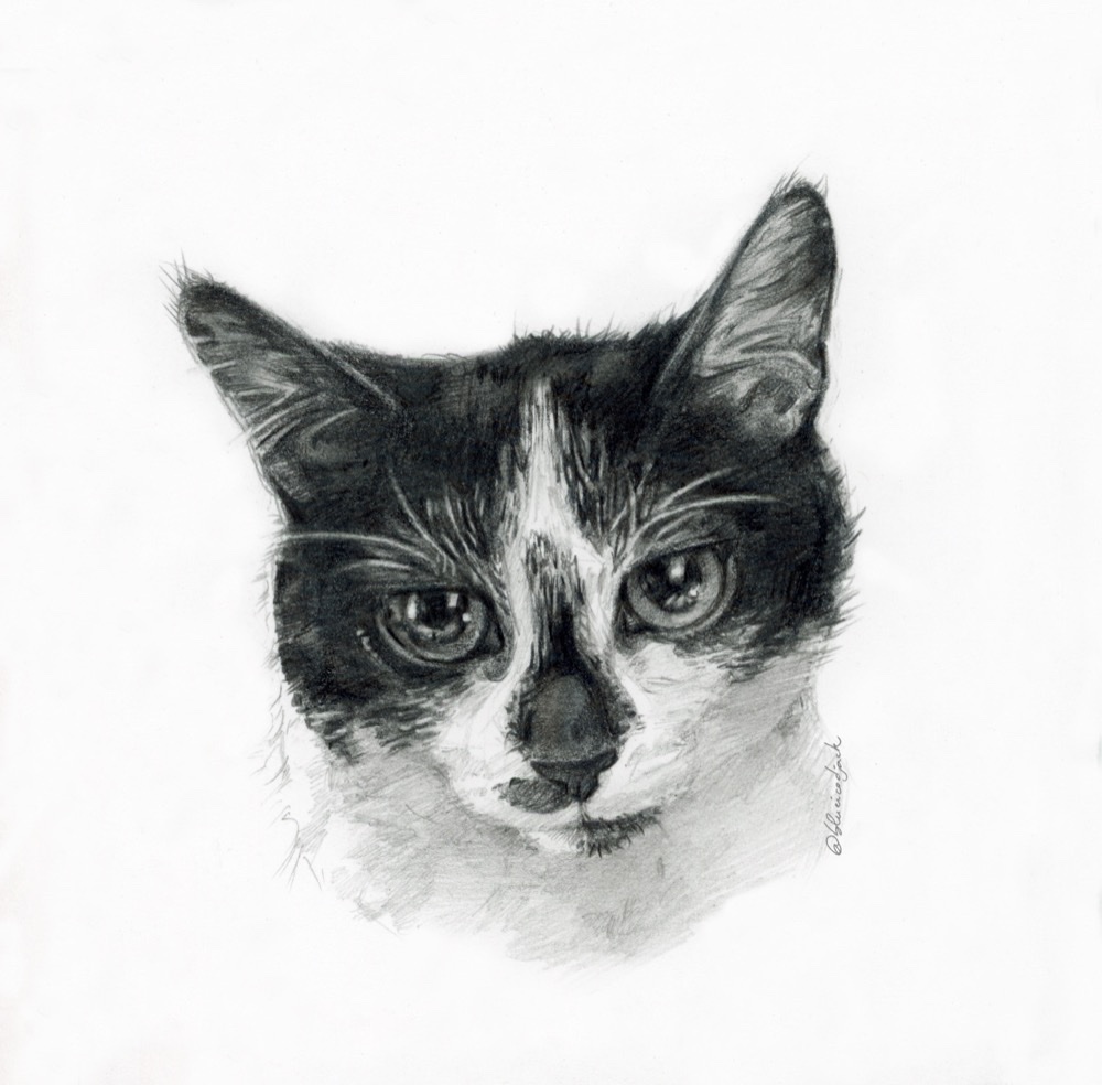 Sadaijin · Graphite